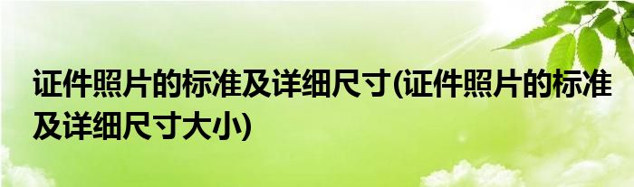 證件照片的標準及詳細尺寸(證件照片的標準及詳細尺寸大小)