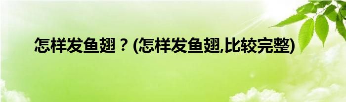 怎樣發(fā)魚(yú)翅？(怎樣發(fā)魚(yú)翅,比較完整)