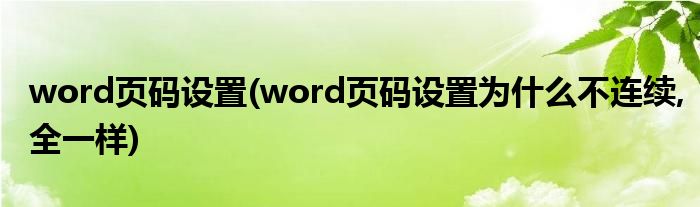 word頁碼設(shè)置(word頁碼設(shè)置為什么不連續(xù),全一樣)