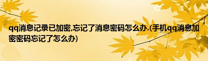 qq消息記錄已加密,忘記了消息密碼怎么辦.(手機qq消息加密密碼忘記了怎么辦)