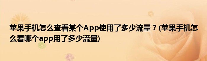 蘋果手機(jī)怎么查看某個(gè)App使用了多少流量？(蘋果手機(jī)怎么看哪個(gè)app用了多少流量)