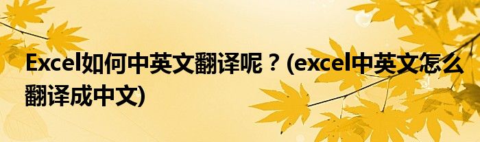 Excel如何中英文翻譯呢？(excel中英文怎么翻譯成中文)