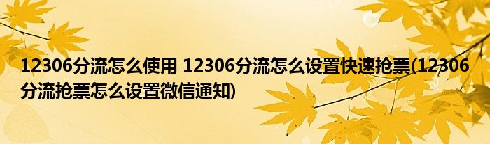 12306分流怎么使用 12306分流怎么設(shè)置快速搶票(12306分流搶票怎么設(shè)置微信通知)