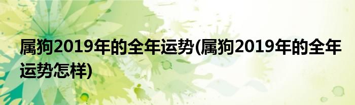 屬狗2019年的全年運勢(屬狗2019年的全年運勢怎樣)