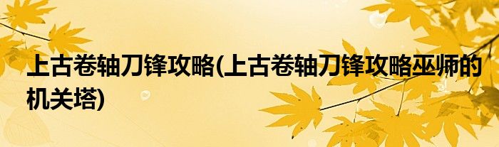 上古卷軸刀鋒攻略(上古卷軸刀鋒攻略巫師的機關(guān)塔)