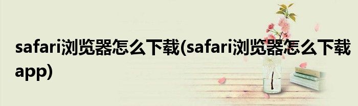 safari瀏覽器怎么下載(safari瀏覽器怎么下載app)