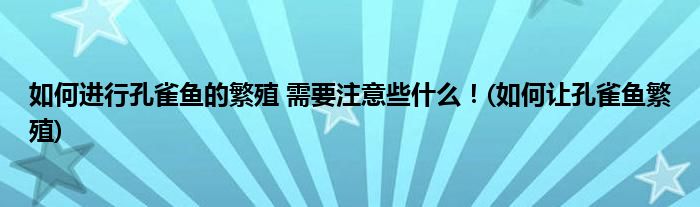 如何進(jìn)行孔雀魚(yú)的繁殖 需要注意些什么！(如何讓孔雀魚(yú)繁殖)