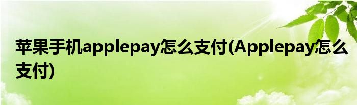 蘋果手機applepay怎么支付(Applepay怎么支付)