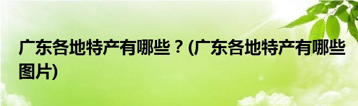 廣東各地特產(chǎn)有哪些？(廣東各地特產(chǎn)有哪些圖片)