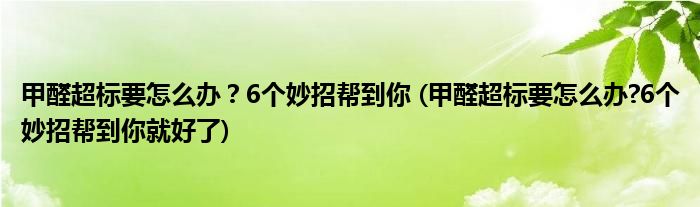 甲醛超標(biāo)要怎么辦？6個妙招幫到你 (甲醛超標(biāo)要怎么辦?6個妙招幫到你就好了)