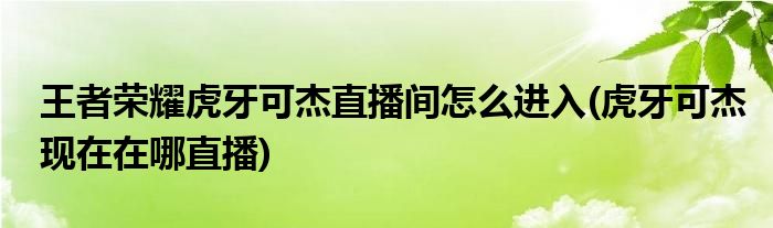 王者榮耀虎牙可杰直播間怎么進(jìn)入(虎牙可杰現(xiàn)在在哪直播)