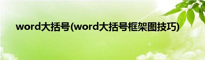 word大括號(hào)(word大括號(hào)框架圖技巧)