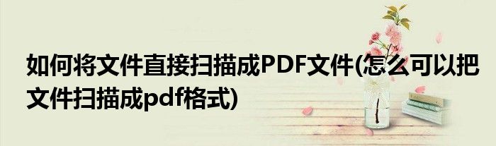 如何將文件直接掃描成PDF文件(怎么可以把文件掃描成pdf格式)