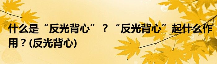 什么是“反光背心”？“反光背心”起什么作用？(反光背心)