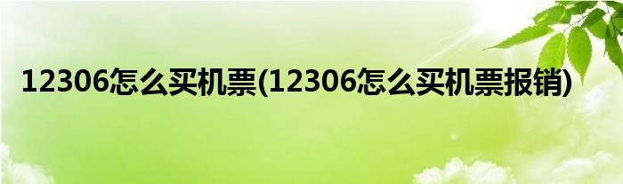 12306怎么買機(jī)票(12306怎么買機(jī)票報(bào)銷)