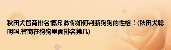 秋田犬智商排名情況 教你如何判斷狗狗的性格！(秋田犬聰明嗎,智商在狗狗里面排名第幾)