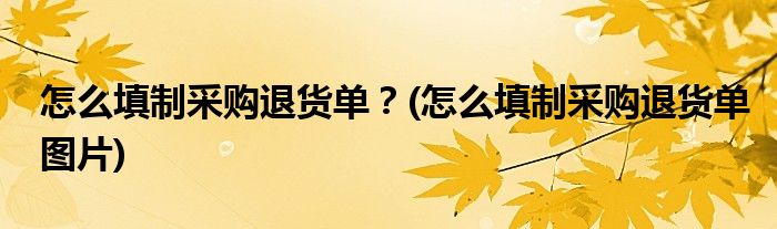 怎么填制采購(gòu)?fù)素泦危?怎么填制采購(gòu)?fù)素泦螆D片)