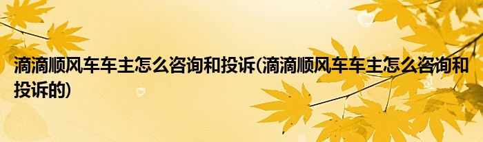 滴滴順風(fēng)車車主怎么咨詢和投訴(滴滴順風(fēng)車車主怎么咨詢和投訴的)