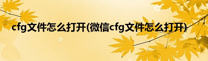 cfg文件怎么打開(微信cfg文件怎么打開)