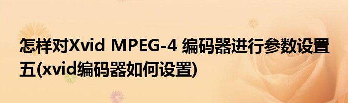 怎樣對(duì)Xvid MPEG-4 編碼器進(jìn)行參數(shù)設(shè)置 五(xvid編碼器如何設(shè)置)