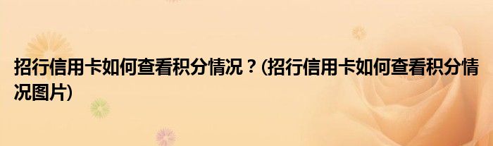 招行信用卡如何查看積分情況？(招行信用卡如何查看積分情況圖片)