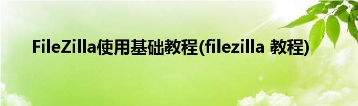 FileZilla使用基礎教程(filezilla 教程)