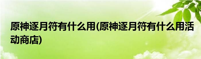 原神逐月符有什么用(原神逐月符有什么用活動商店)