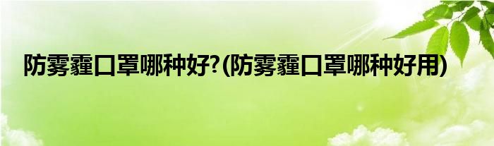 防霧霾口罩哪種好?(防霧霾口罩哪種好用)