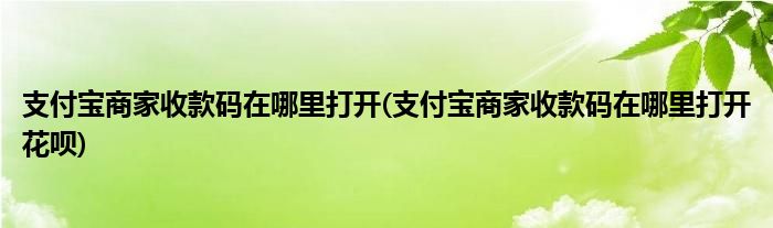 支付寶商家收款碼在哪里打開(支付寶商家收款碼在哪里打開花唄)