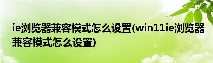 ie瀏覽器兼容模式怎么設(shè)置(win11ie瀏覽器兼容模式怎么設(shè)置)