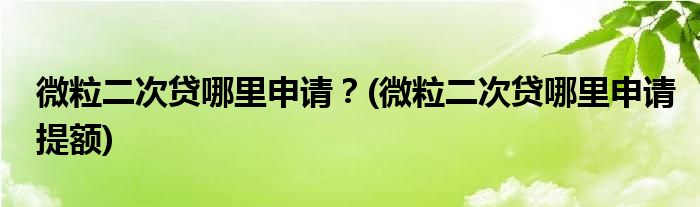 微粒二次貸哪里申請？(微粒二次貸哪里申請?zhí)犷~)