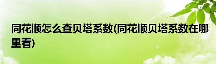 同花順怎么查貝塔系數(shù)(同花順貝塔系數(shù)在哪里看)