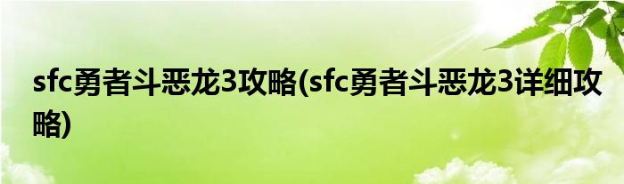 sfc勇者斗惡龍3攻略(sfc勇者斗惡龍3詳細(xì)攻略)