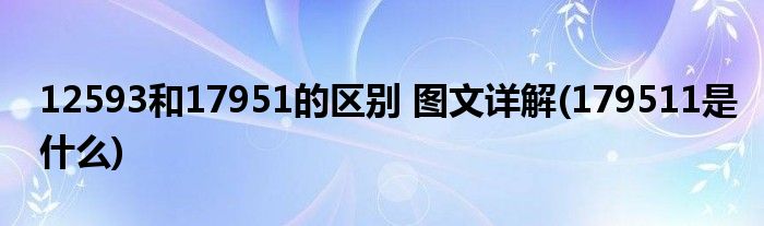 12593和17951的區(qū)別 圖文詳解(179511是什么)