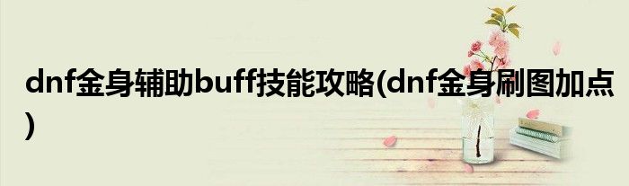 dnf金身輔助buff技能攻略(dnf金身刷圖加點)