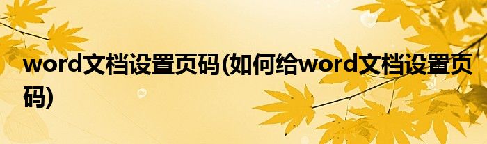 word文檔設(shè)置頁碼(如何給word文檔設(shè)置頁碼)