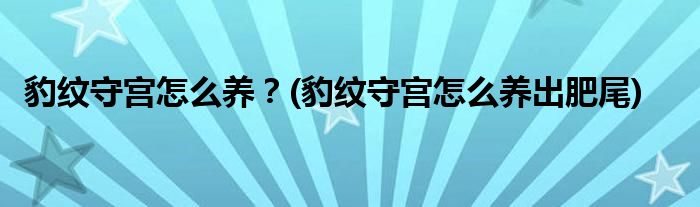 豹紋守宮怎么養(yǎng)？(豹紋守宮怎么養(yǎng)出肥尾)