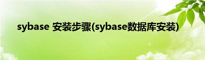 sybase 安裝步驟(sybase數(shù)據(jù)庫安裝)