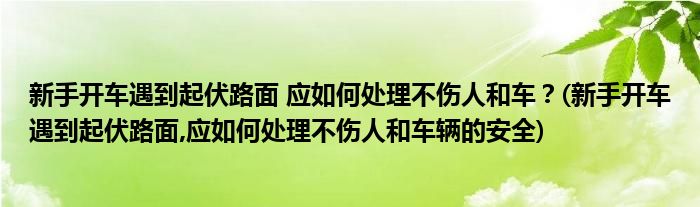 新手開車遇到起伏路面 應(yīng)如何處理不傷人和車？(新手開車遇到起伏路面,應(yīng)如何處理不傷人和車輛的安全)