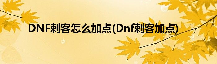 DNF刺客怎么加點(diǎn)(Dnf刺客加點(diǎn))