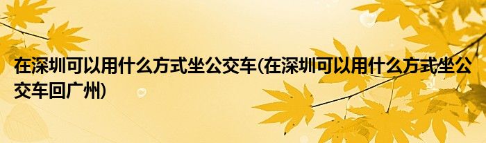 在深圳可以用什么方式坐公交車(在深圳可以用什么方式坐公交車回廣州)