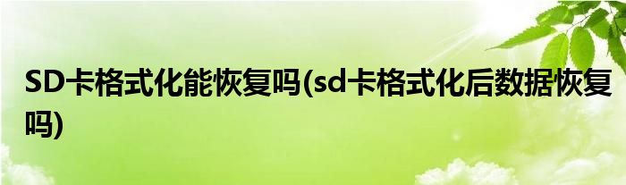 SD卡格式化能恢復嗎(sd卡格式化后數(shù)據(jù)恢復嗎)