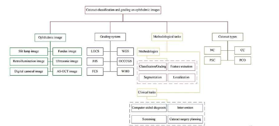 用于眼科成像模式的白內(nèi)障分類/分級(jí)的機(jī)器學(xué)習(xí)