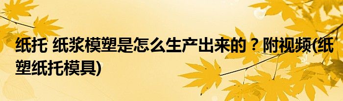 紙托 紙漿模塑是怎么生產(chǎn)出來的？附視頻(紙塑紙托模具)