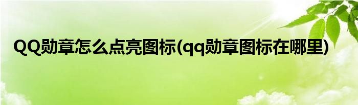 QQ勛章怎么點亮圖標(biāo)(qq勛章圖標(biāo)在哪里)