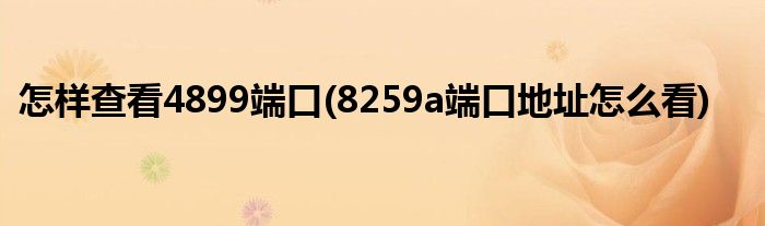 怎樣查看4899端口(8259a端口地址怎么看)