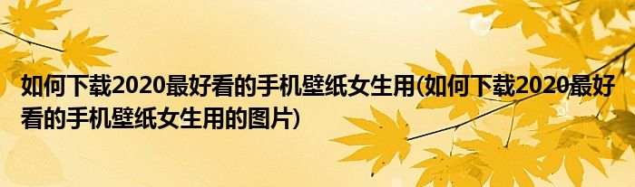 如何下載2020最好看的手機壁紙女生用(如何下載2020最好看的手機壁紙女生用的圖片)