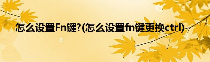 怎么設(shè)置Fn鍵?(怎么設(shè)置fn鍵更換ctrl)