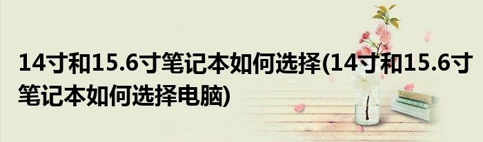 14寸和15.6寸筆記本如何選擇(14寸和15.6寸筆記本如何選擇電腦)