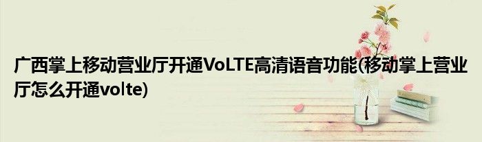 廣西掌上移動營業(yè)廳開通VoLTE高清語音功能(移動掌上營業(yè)廳怎么開通volte)